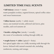 Mini Reading + Book Lover Candle | Choose a Scent