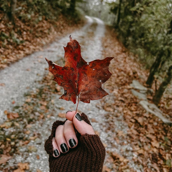 a gloved hand holding a red fall leaf with a gravel road in the background