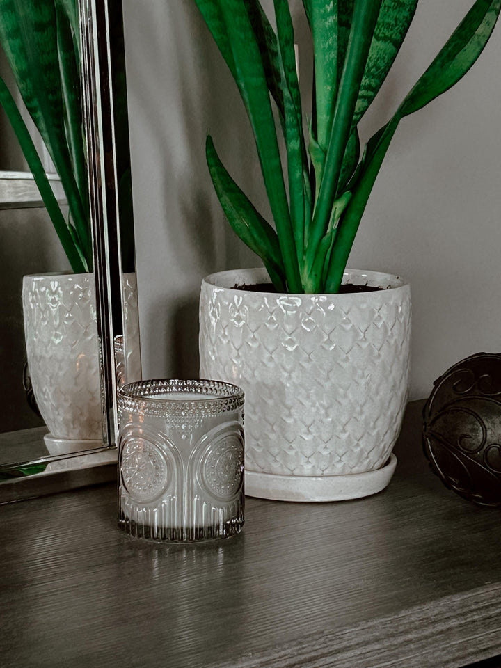 Decorative candle and potted plant on a wooden surface with a mirror in the background.